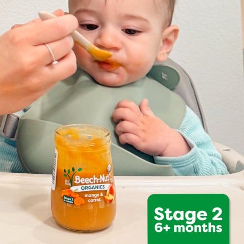 Beech-Nut Organic Stage 2 Apple Raspberries & Avocado Baby Food Jar - Apple Raspberries & Avocado