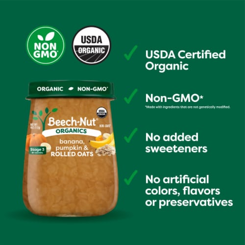 Beech-Nut Organics Banana Pumpkin Oats Baby Food Jar - Banana Pumpkin Oats