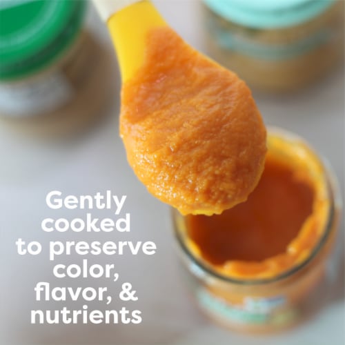 Beech-Nut Organics Stage 2 Prunes Pears Baby Food Jar - Prunes Pears