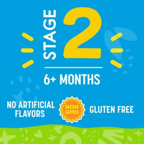 Comforts Stage 2 Banana Blueberry and Oatmeal Baby Food Puree Pouch - Banana Blueberry and Oatmeal