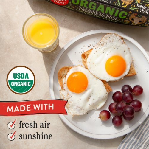 Vital Farms Pasture-Raised Large Brown Grade-A Organic Eggs - 12 ct / Organic Pasture