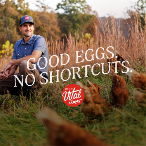 Vital Farms Pasture-Raised Large Brown Grade-A Organic Eggs - 12 ct / Pasture Raised