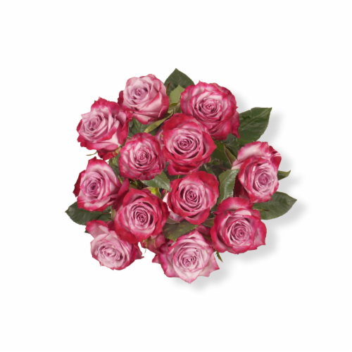 Bloom Haus Dozen Rose Orange - Lavender