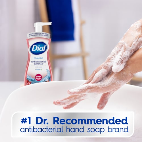 Dial® Antibacterial Defense™ Power Berries Scent Foaming Hand Soap - Dial® Antibacterial Defense™ Power Berries Scent Foaming Hand Soap