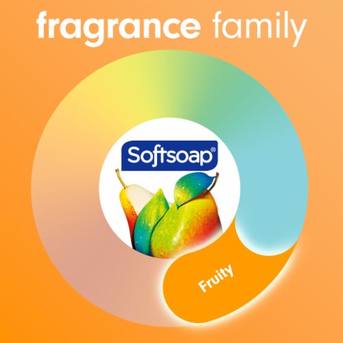Softsoap Liquid Hand Soap Pump Antibacterial Crisp Clean Scent - Softsoap Liquid Hand Soap Pump Antibacterial Crisp Clean Scent