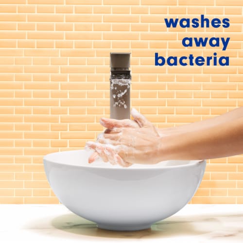 Softsoap Liquid Hand Soap Pump Antibacterial Liquid Kitchen Fresh Hands Crisp Lemon Scent - Softsoap Liquid Hand Soap Pump Antibacterial Liquid Kitchen Fresh Hands Crisp Lemon Scent