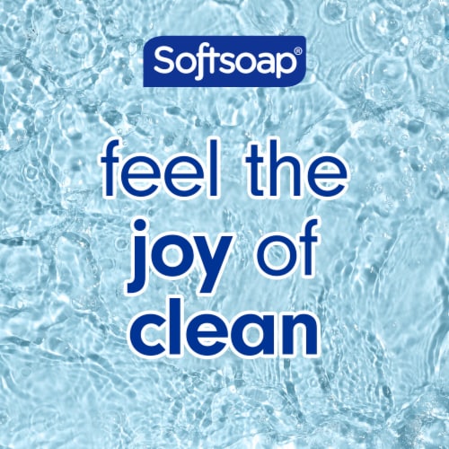 Softsoap Soothing Clean Aloe Liquid Hand Soap Kitchen and Bathroom Hand Soap - Softsoap Soothing Clean Aloe Liquid Hand Soap Kitchen and Bathroom Hand Soap