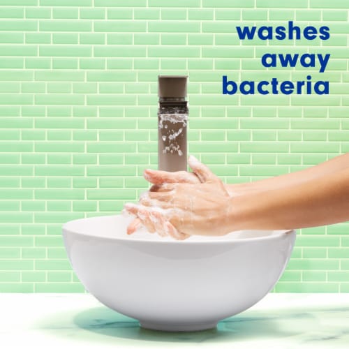 Softsoap Soothing Clean Aloe Liquid Hand Soap Kitchen and Bathroom Hand Soap - Softsoap Soothing Clean Aloe Liquid Hand Soap Kitchen and Bathroom Hand Soap