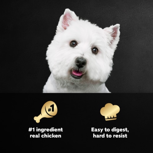 Cesar Adult Soft Wet Dog Food Grilled Chicken Classic Loaf in Sauce - Cesar Adult Soft Wet Dog Food Grilled Chicken Classic Loaf in Sauce