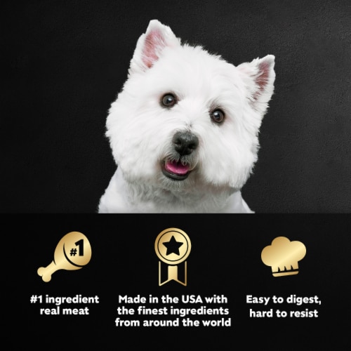 Cesar Adult Soft Wet Dog Food Porterhouse Steak Classic Loaf in Sauce - Cesar Adult Soft Wet Dog Food Porterhouse Steak Classic Loaf in Sauce