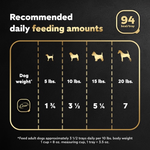 Cesar Filets in Gravy Adult Soft Wet Dog Food Prime Rib - Cesar Filets in Gravy Adult Soft Wet Dog Food Prime Rib