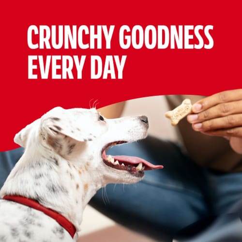 Milk-Bone Original Biscuits, Small Dog Treats, 24 Oz. Box - Milk-Bone Original Biscuits, Small Dog Treats, 24 Oz. Box