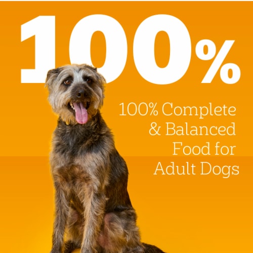 Pedigree Choice Cuts in Gravy Adult Canned Soft Wet Dog Food Beef - Pedigree Choice Cuts in Gravy Adult Canned Soft Wet Dog Food Beef