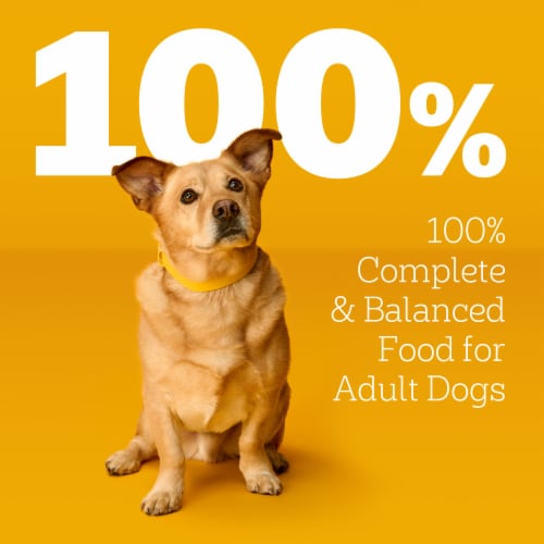 Pedigree Choice Cuts In Gravy Adult Soft Wet Dog Food Pouch Filet Mignon - Pedigree Choice Cuts In Gravy Adult Soft Wet Dog Food Pouch Filet Mignon