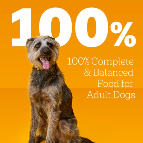 Pedigree Chopped Ground Dinner Adult Canned Soft Wet Dog Food Beef - Pedigree Chopped Ground Dinner Adult Canned Soft Wet Dog Food Beef