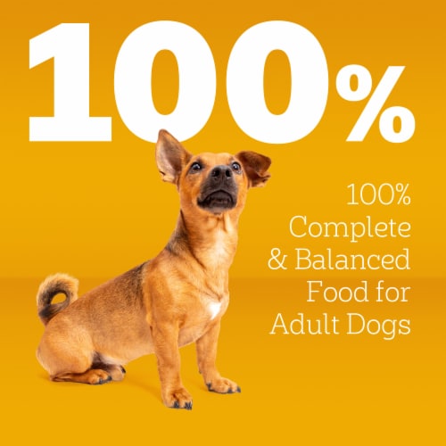 Pedigree Small Dog Adult Dry Dog Food Grilled Steak and Vegetable Flavor - Pedigree Small Dog Adult Dry Dog Food Grilled Steak and Vegetable Flavor