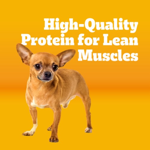 Pedigree Small Dog Adult Dry Dog Food Grilled Steak and Vegetable Flavor - Pedigree Small Dog Adult Dry Dog Food Grilled Steak and Vegetable Flavor