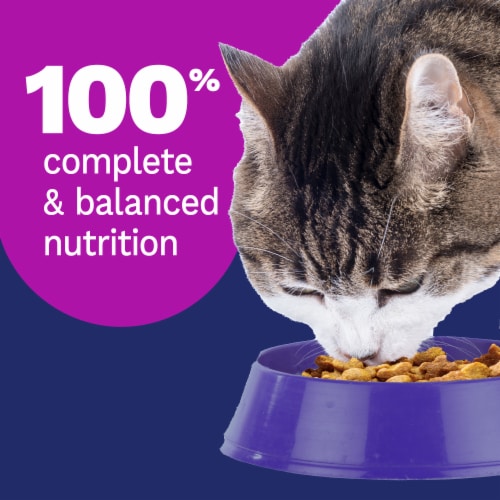 Pet Pride® Heart Eye & Immunity Support All Life Stages Dry Cat Food Chicken Flavor - 3.15 pounds