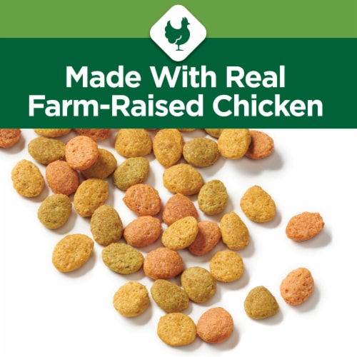 Purina Cat Chow Indoor Hairball + Healthy Weight Adult Dry Cat Food Real Chicken - 15 lb