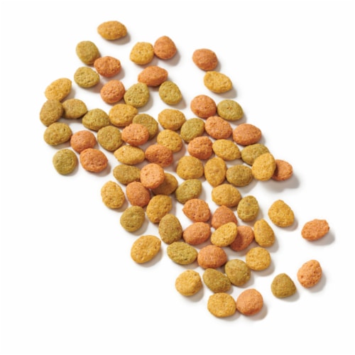 Purina Cat Chow Indoor Hairball + Healthy Weight Adult Dry Cat Food Real Chicken - 15 lb