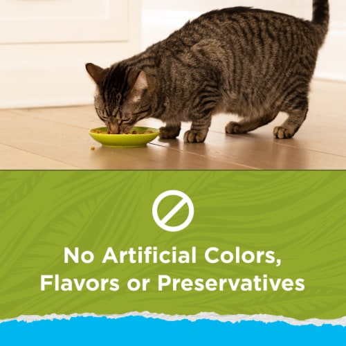 Purina Cat Chow Naturals Indoor Dry Cat Food Real Chicken & Turkey - Purina Cat Chow Naturals Indoor Dry Cat Food Real Chicken & Turkey