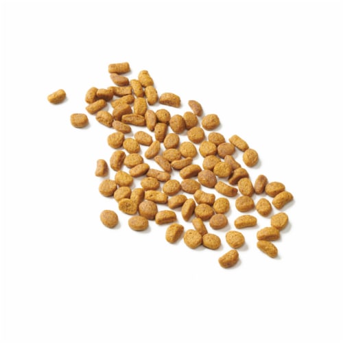 Purina Cat Chow Naturals Original Dry Cat Food Real Chicken & Salmon - Purina Cat Chow Naturals Original Dry Cat Food Real Chicken & Salmon