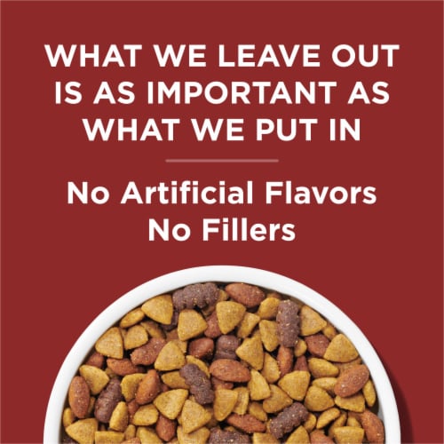 Purina Dog Chow Complete Adult Dry Dog Food Beef - Purina Dog Chow Complete Adult Dry Dog Food Beef