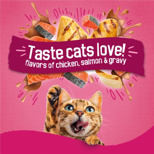 Purina Gravy Swirlers Adult Dry Cat Food Chicken, Salmon & Gravy Flavors - Purina Gravy Swirlers Adult Dry Cat Food Chicken, Salmon & Gravy Flavors