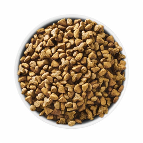 Purina ONE +Plus Indoor Advantage Weight Control Adult Dry Cat Food Real Turkey - Purina ONE +Plus Indoor Advantage Weight Control Adult Dry Cat Food Real Turkey