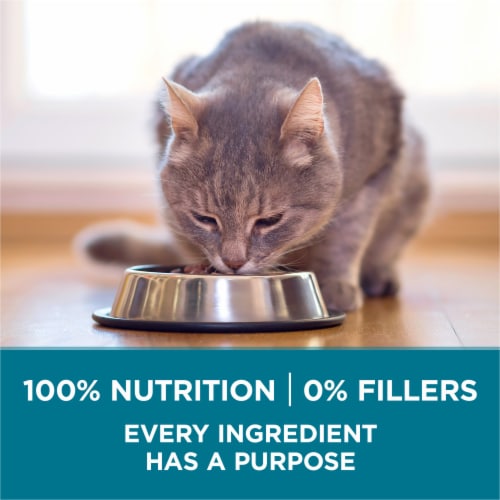 Purina ONE Tender Selects Adult Natural Dry Cat Food Real Salmon - Purina ONE Tender Selects Adult Natural Dry Cat Food Real Salmon