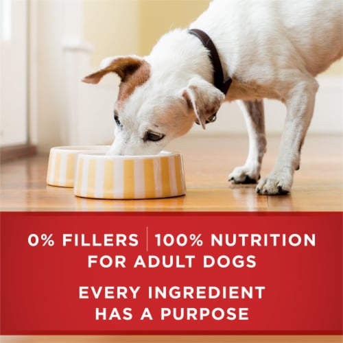 Purina ONE Wet Dog Food Classic Ground Chicken & Brown Rice Entrée - Purina ONE Wet Dog Food Classic Ground Chicken & Brown Rice Entrée