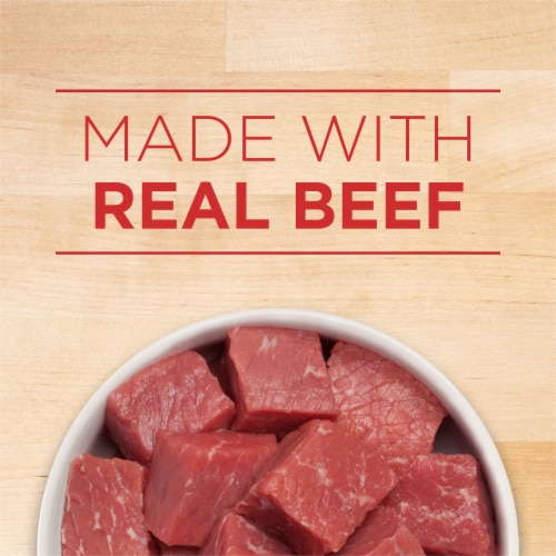 Purina ONE Wet Dog Food Tender Cuts in Gravy Beef & Barley - Purina ONE Wet Dog Food Tender Cuts in Gravy Beef & Barley
